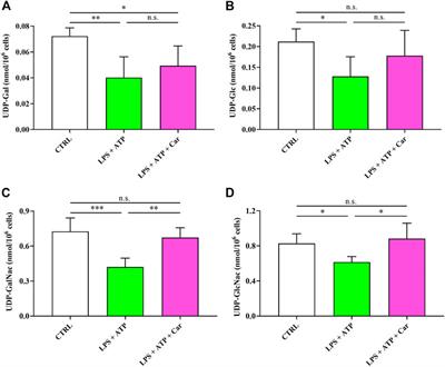 Microfluidic/HPLC combination to study carnosine protective activity on challenged human microglia: Focus on oxidative stress and energy metabolism